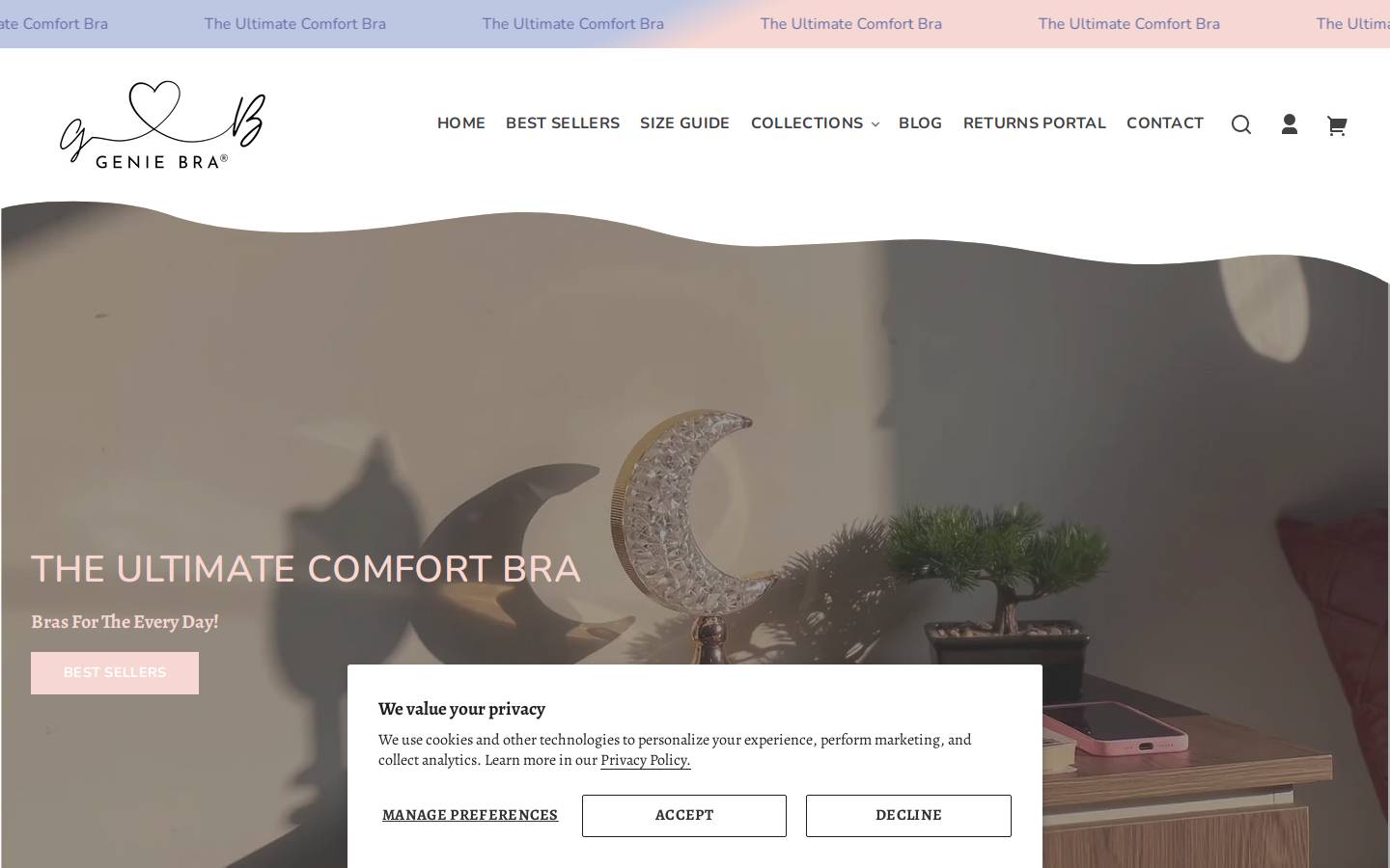 thegeniebra.com homepage screenshot
