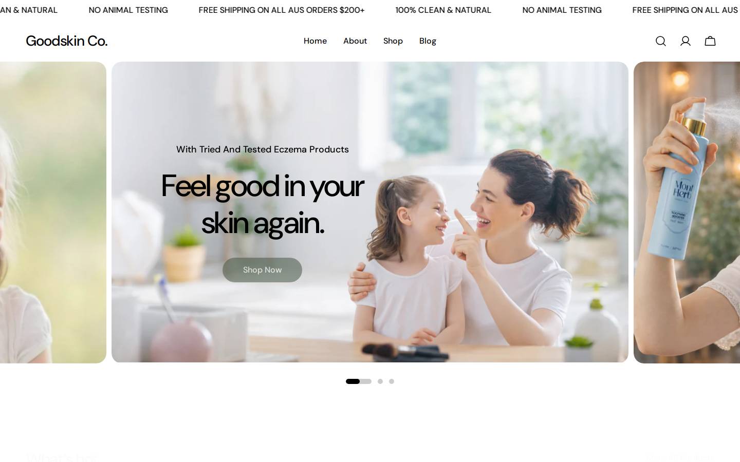 thegoodskin.co homepage screenshot