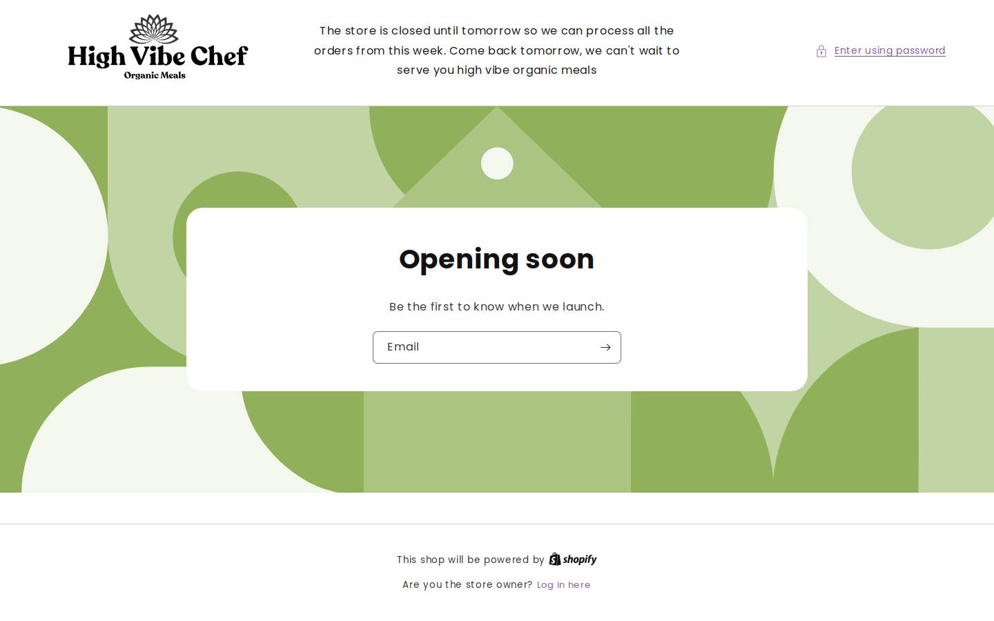 thehighvibechef.com homepage screenshot