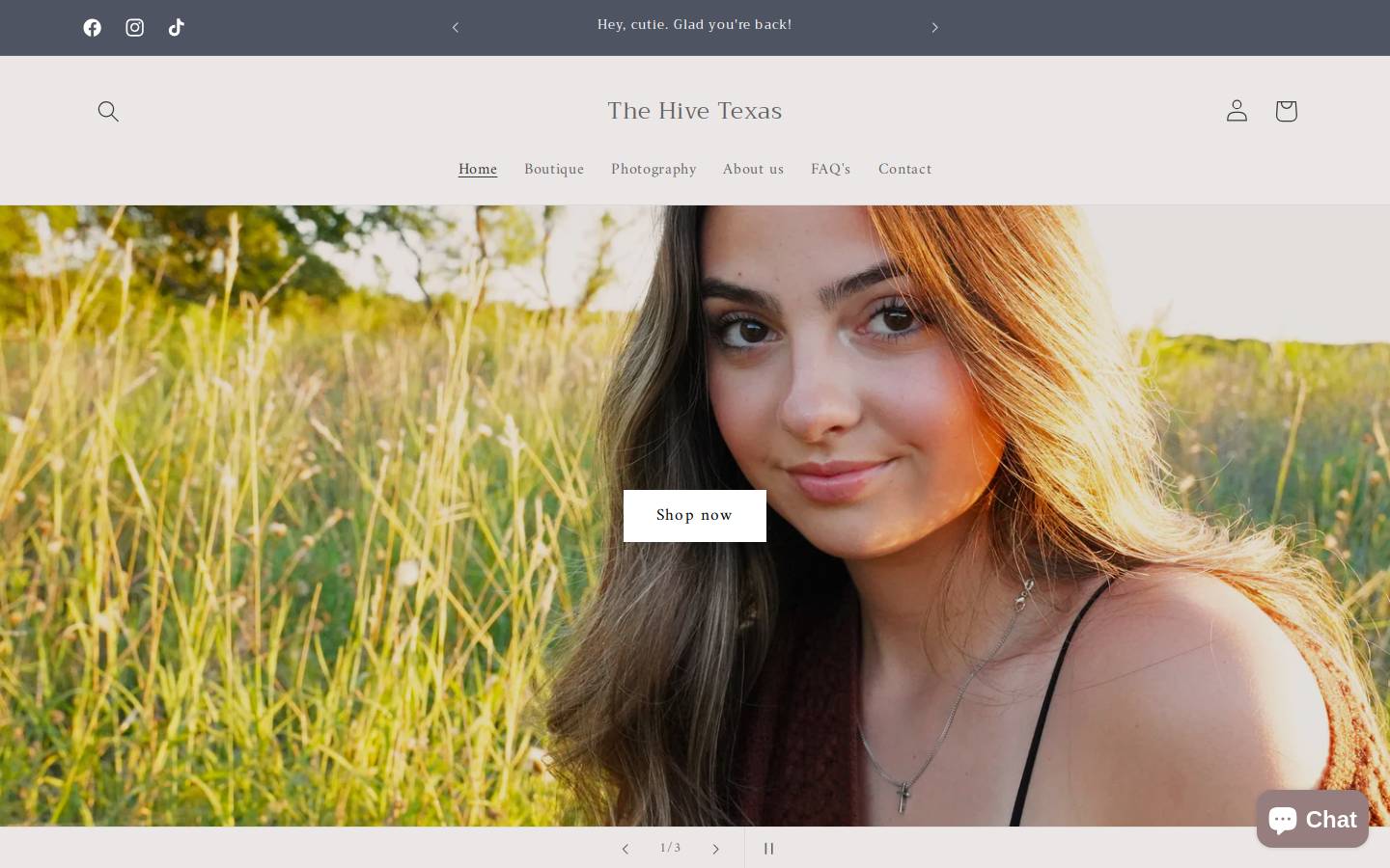 thehivetexas.com homepage screenshot