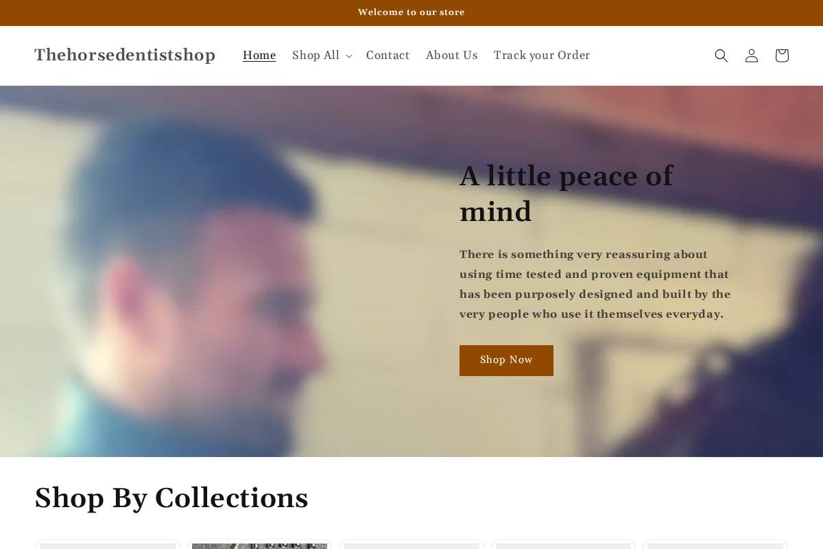 thehorsedentistshop.com homepage screenshot