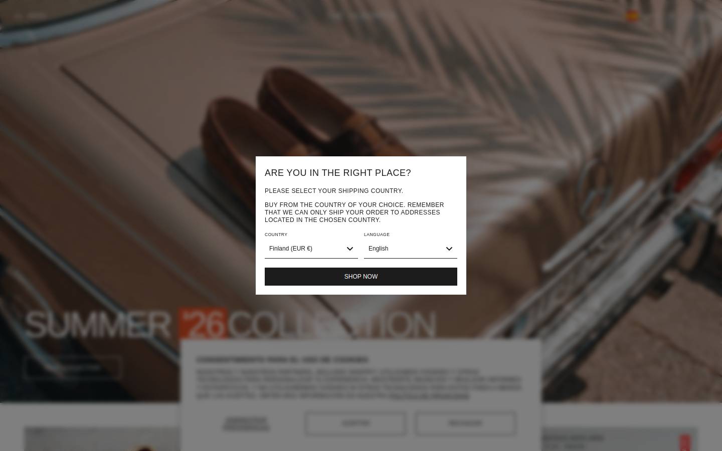 Thehundredshoes homepage screenshot