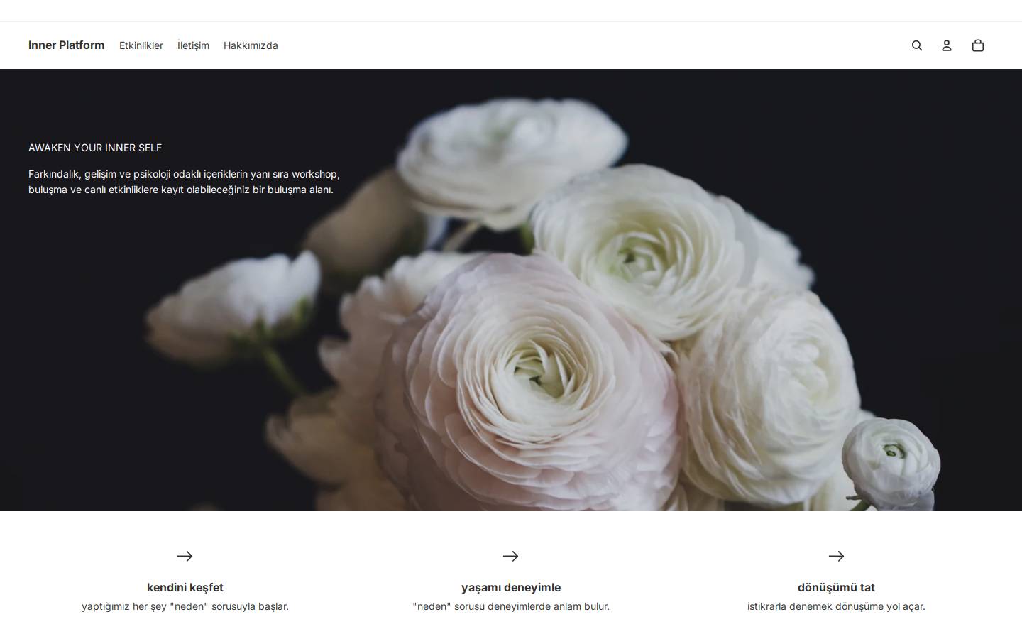 theinnerplatform.com homepage screenshot