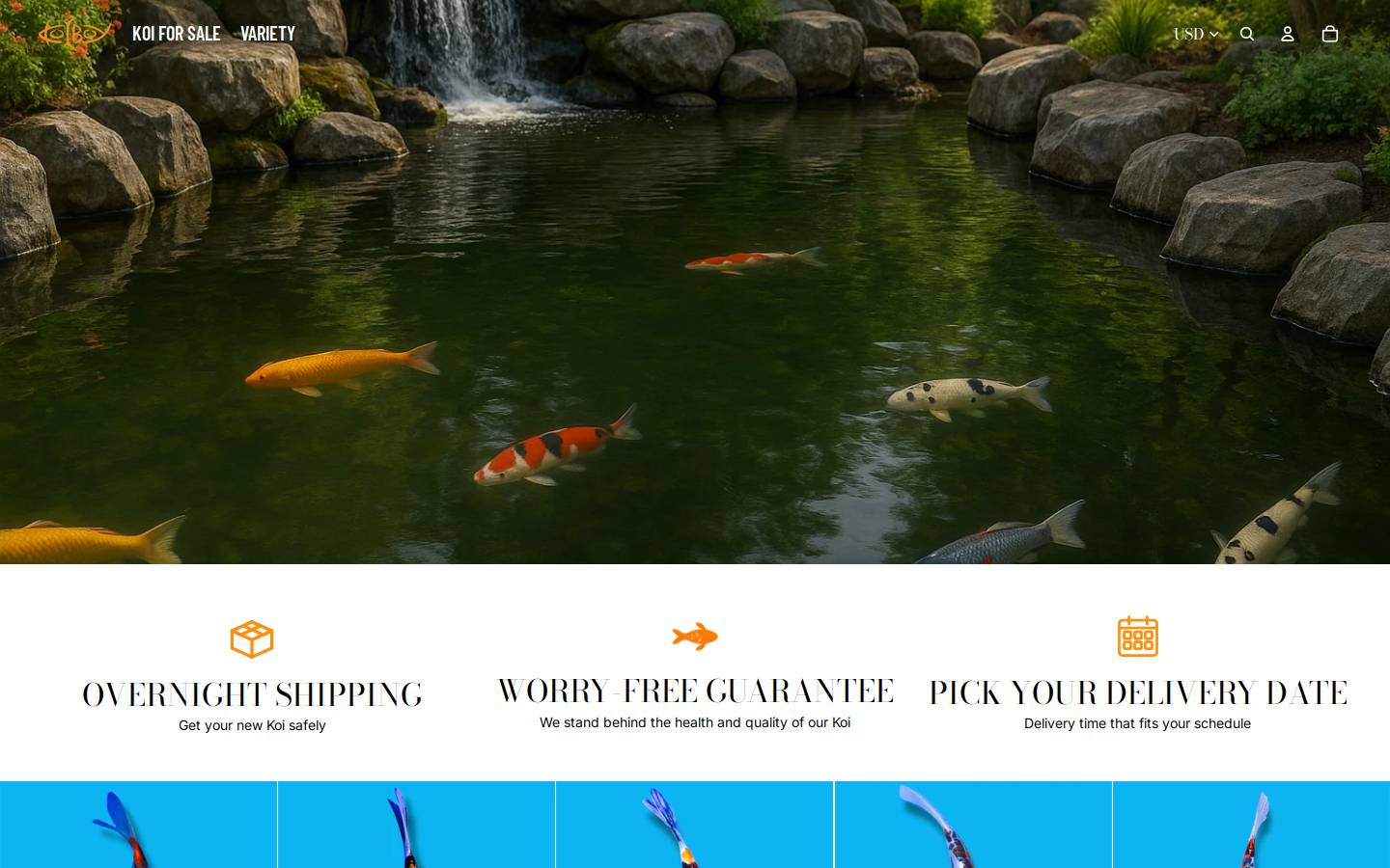 thekoiboy.com homepage screenshot