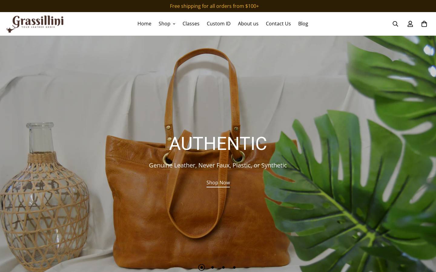 theleathergenie.com homepage screenshot