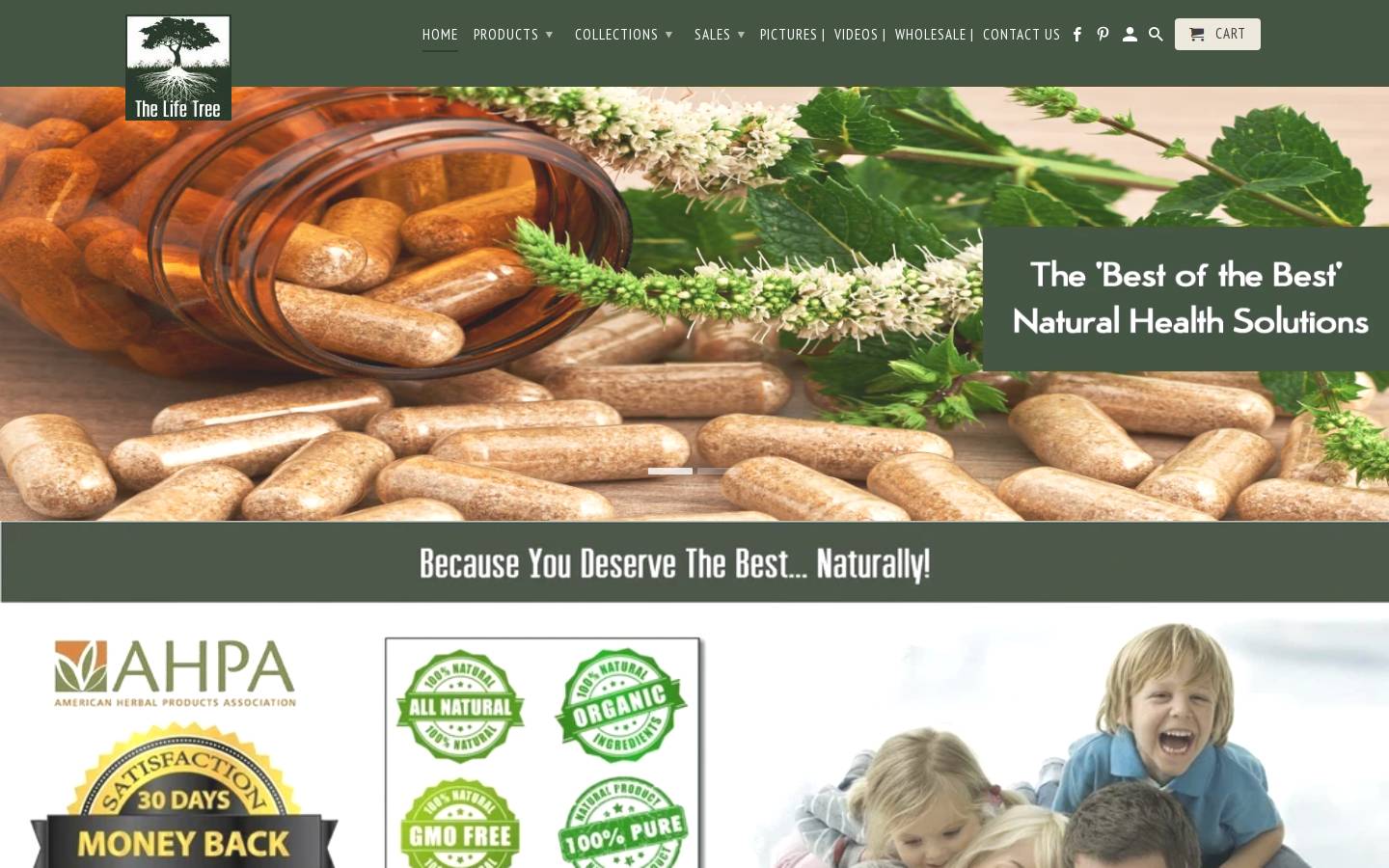 Life Tree homepage screenshot