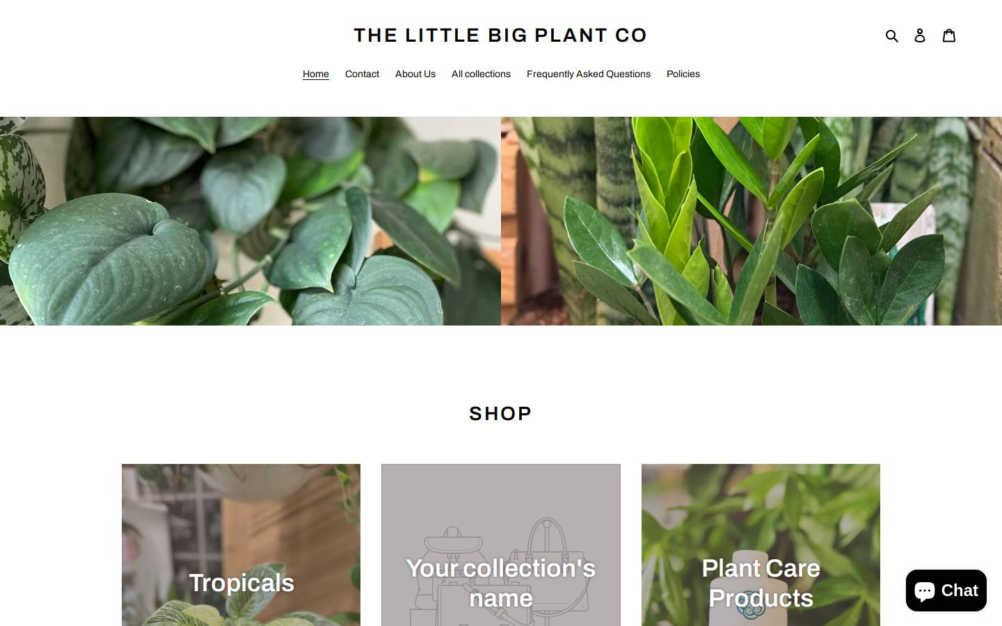 thelittlebigplantcompany.com homepage screenshot
