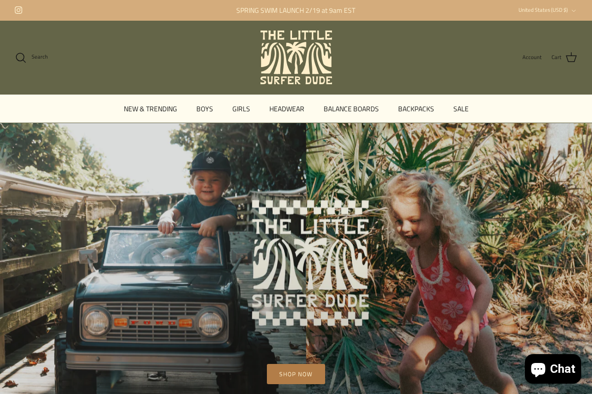 The Little Surfer Dude homepage screenshot