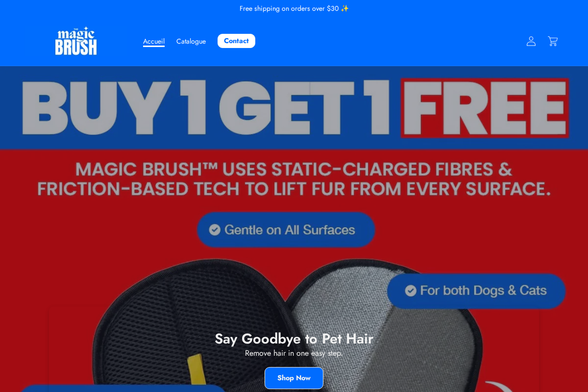 themagicbrushofficial.com homepage screenshot