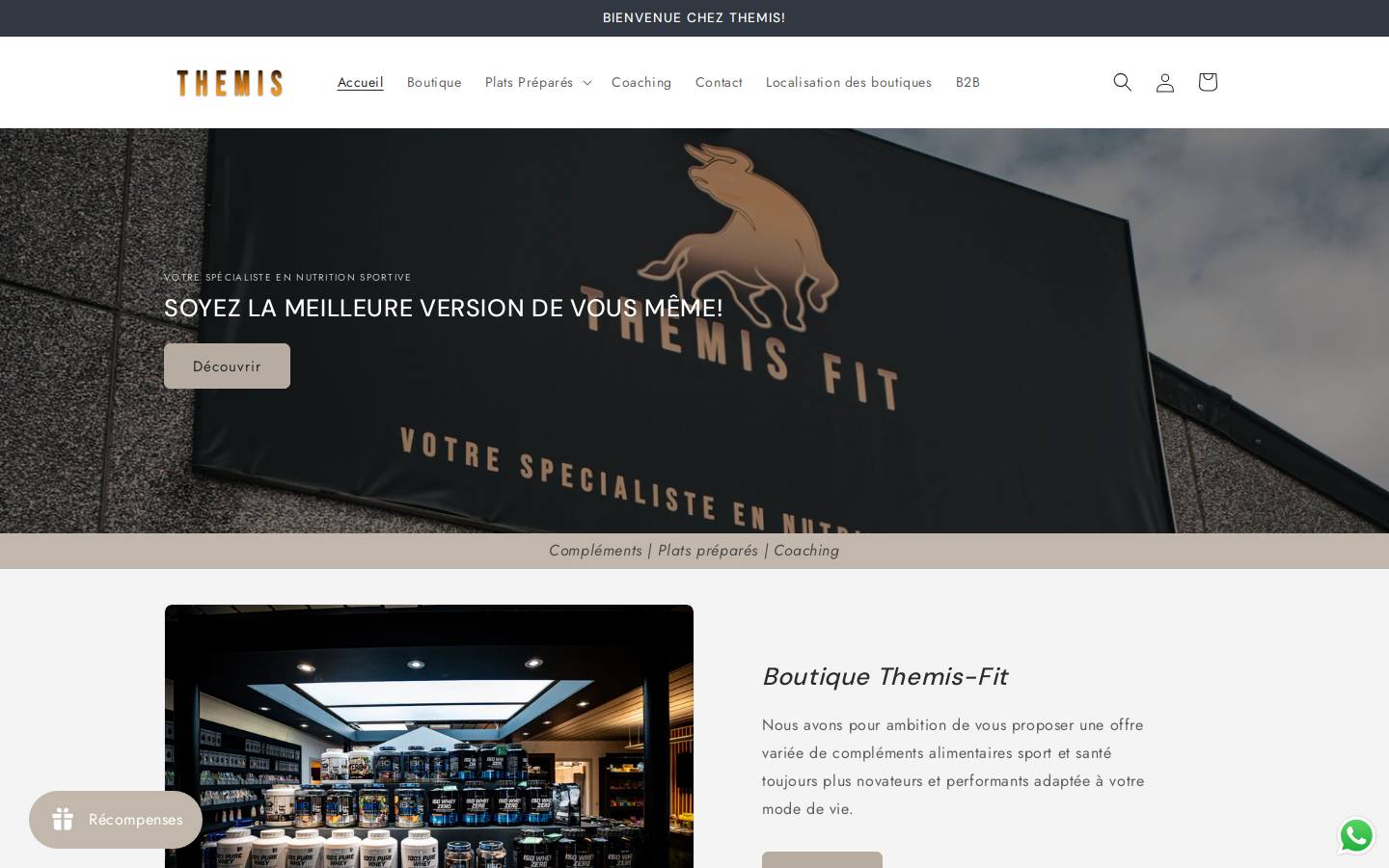 themis-f.com homepage screenshot