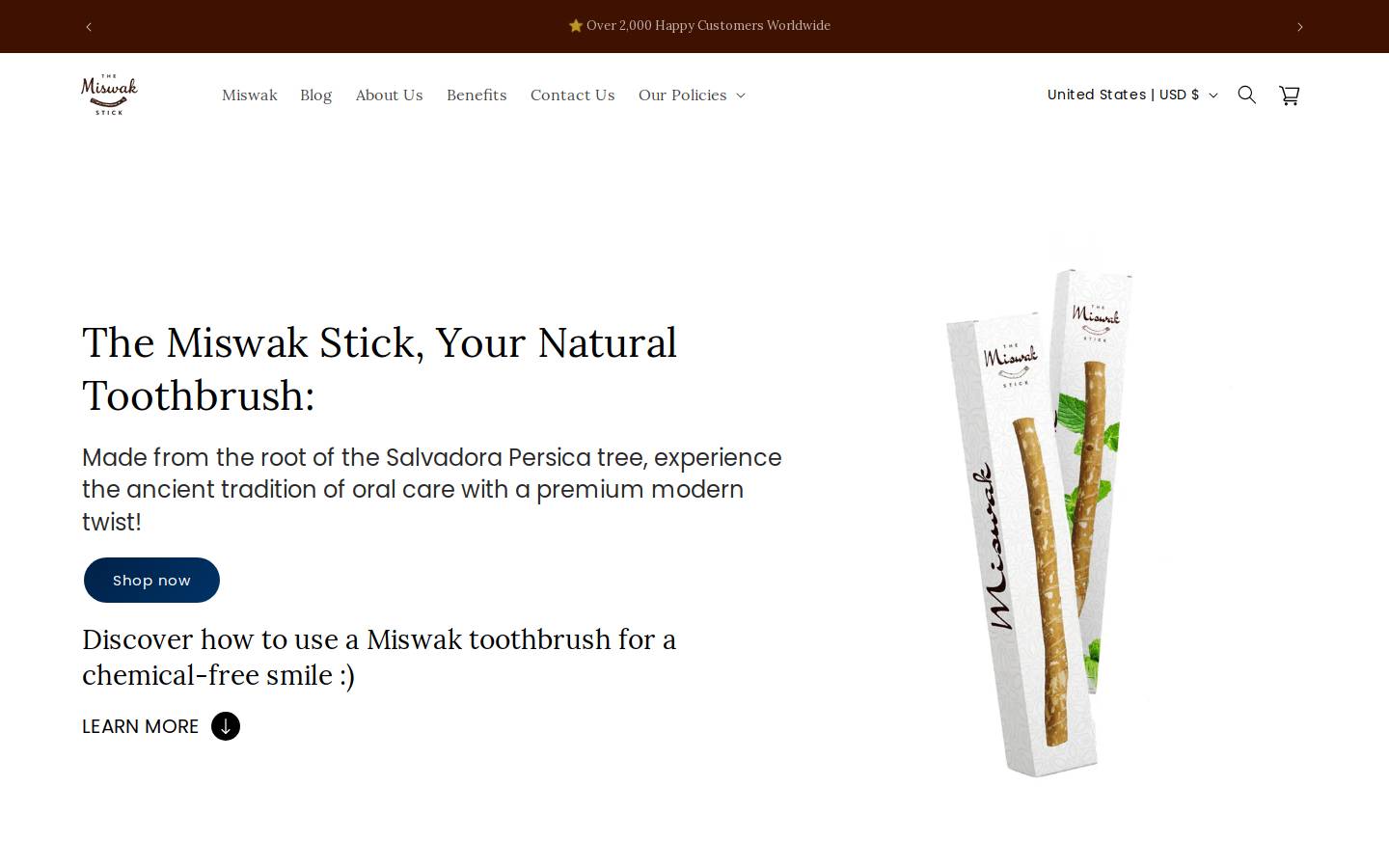 Themiswakstick homepage screenshot