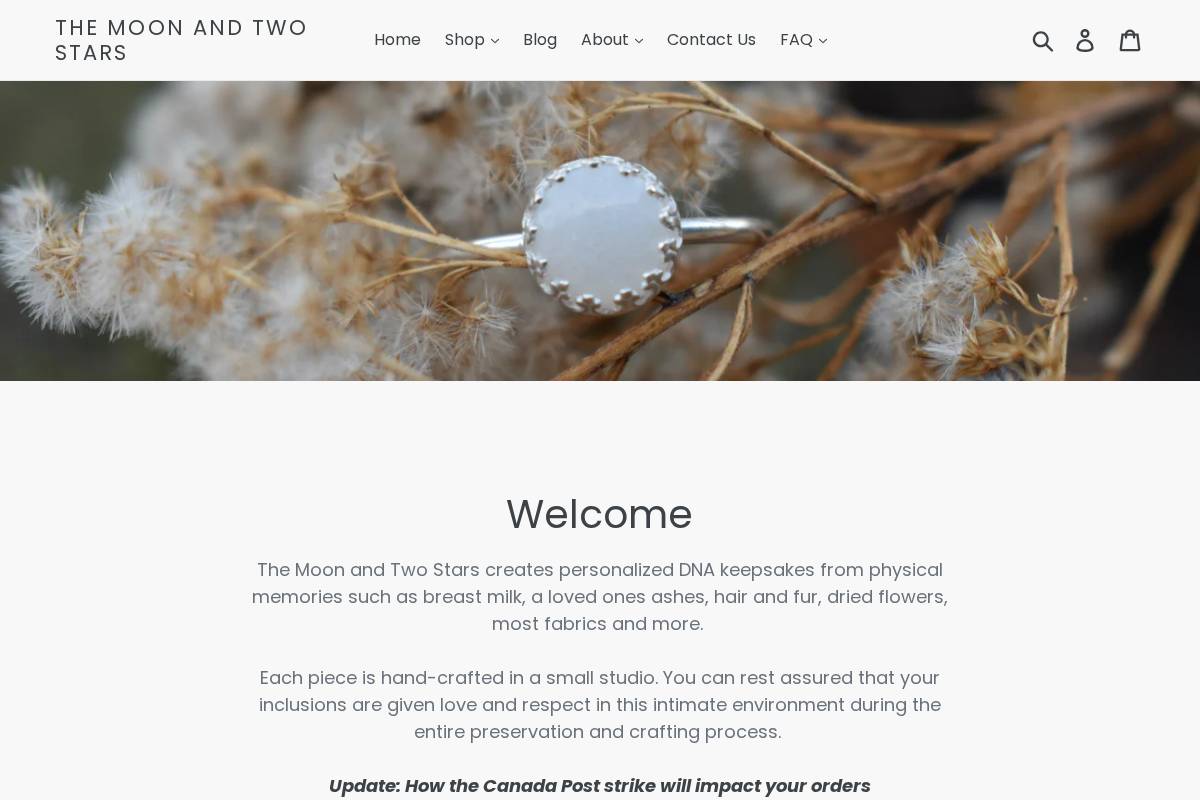 themoonandtwostars.com homepage screenshot