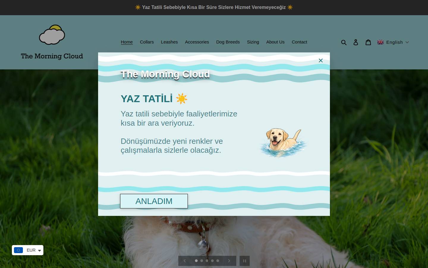 themorningcloud.com homepage screenshot