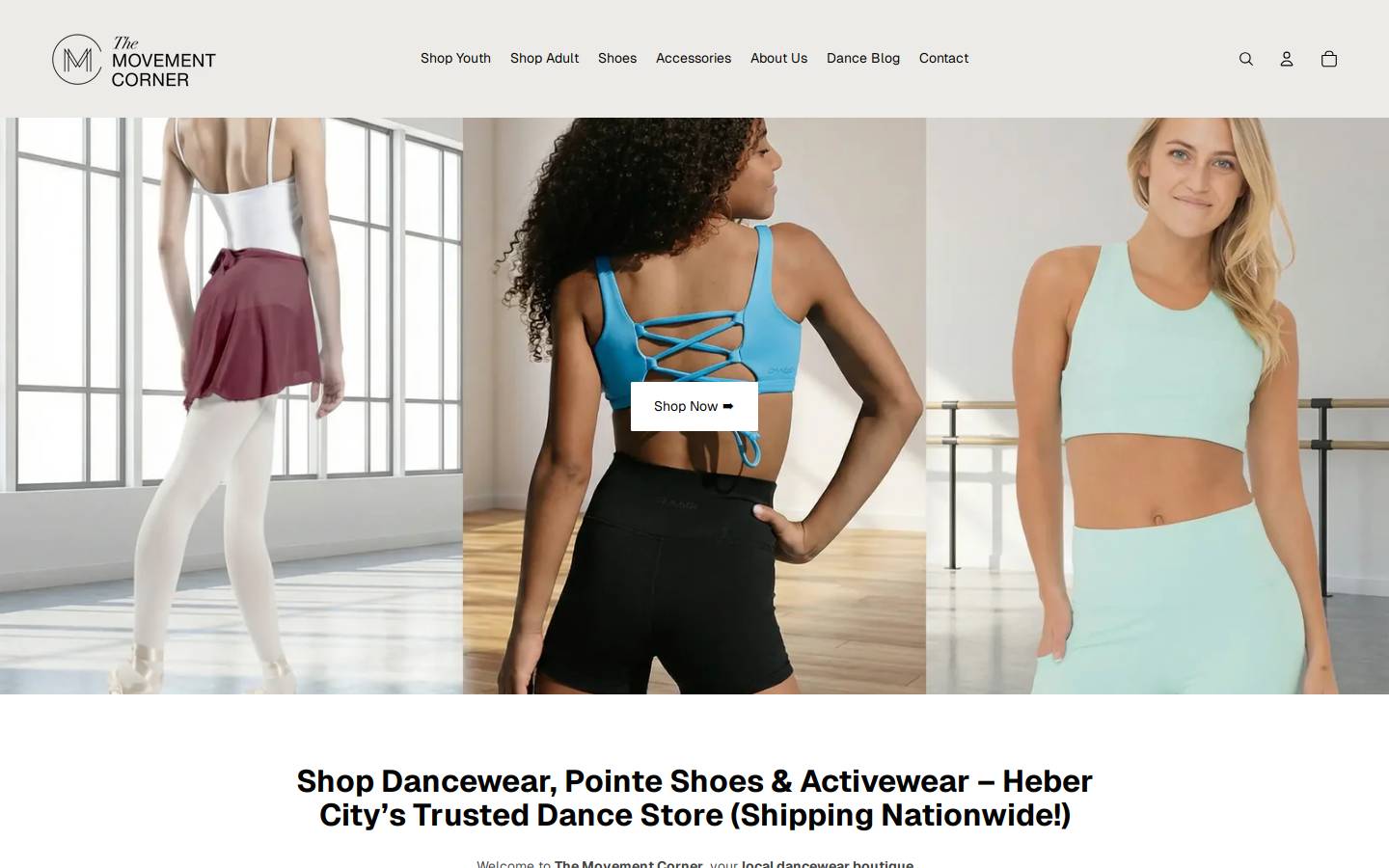 themovementcorner.com homepage screenshot