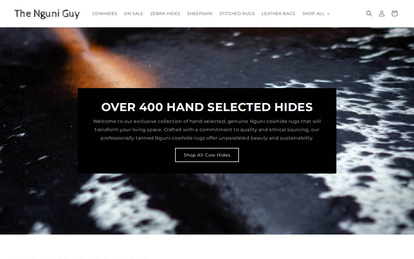 thenguniguy.co.za homepage screenshot