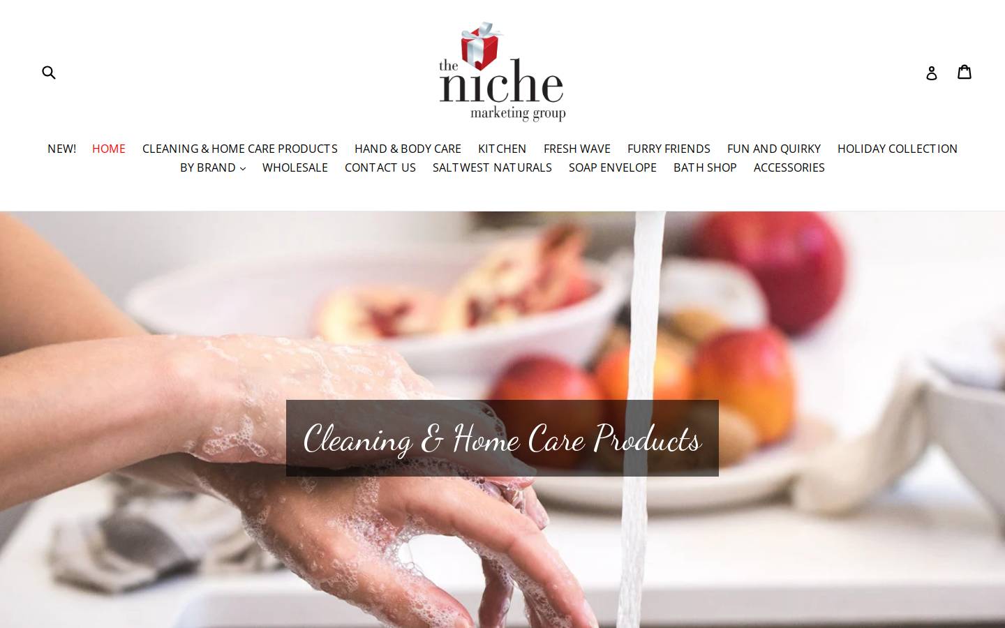 thenichemarketing.ca homepage screenshot
