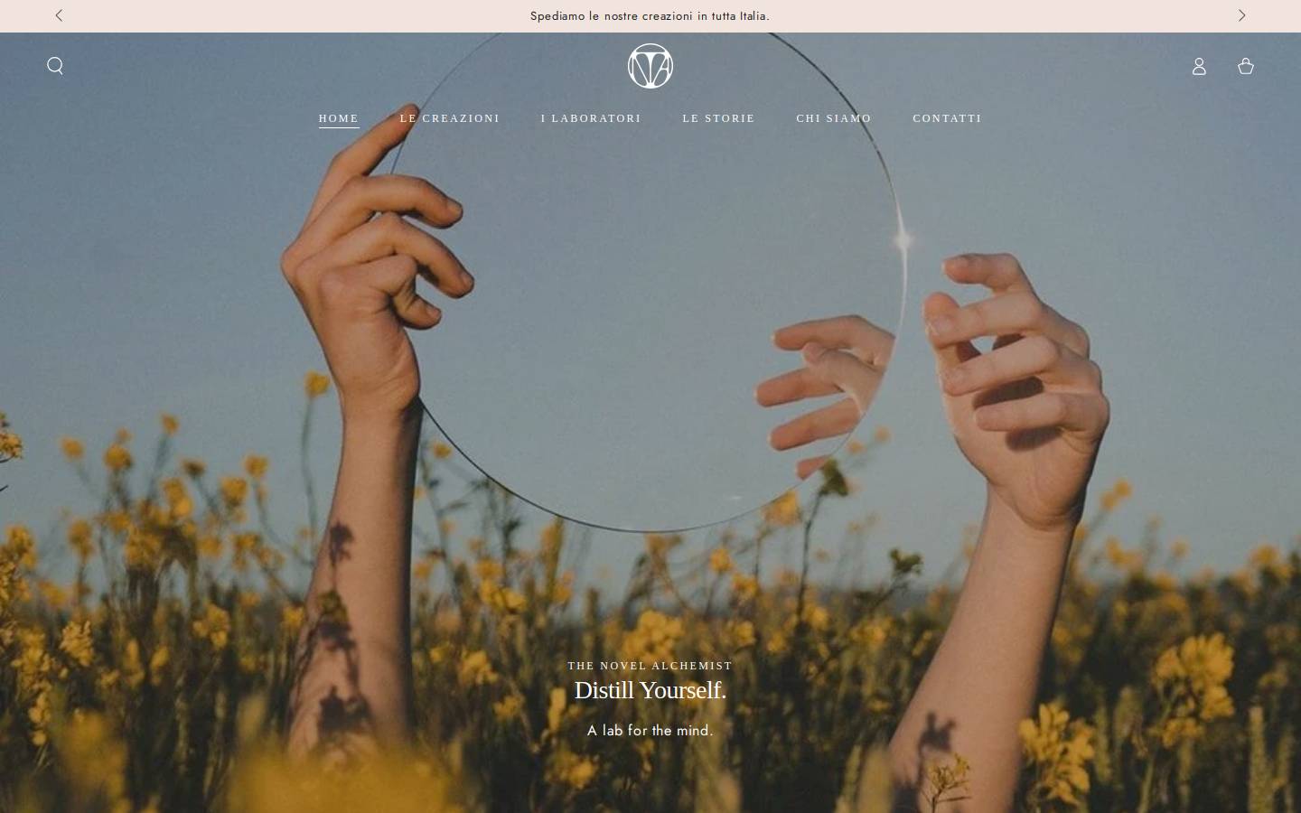 thenovelalchemist.com homepage screenshot