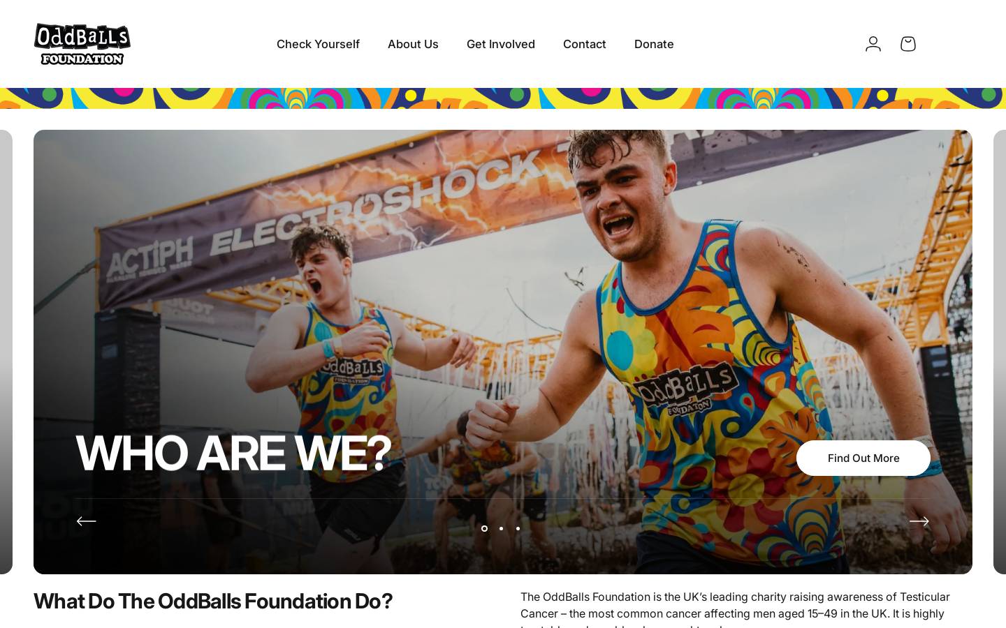 theoddballsfoundation.com homepage screenshot