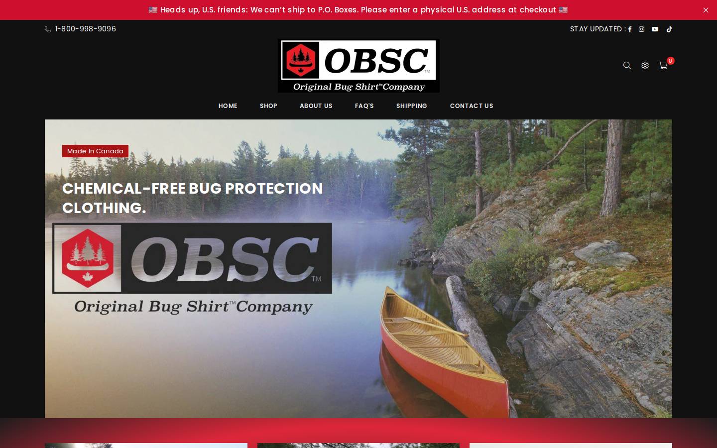 theoriginalbugshirt.com homepage screenshot