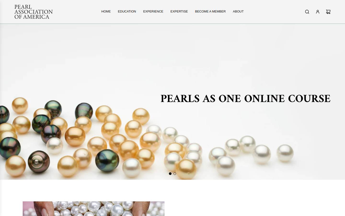 thepearlassociation.org homepage screenshot