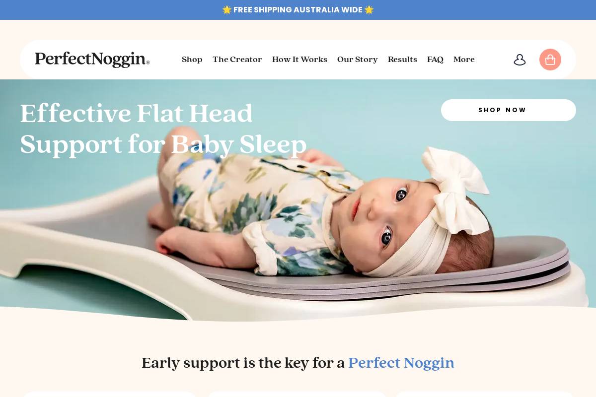 Theperfectnoggin homepage screenshot