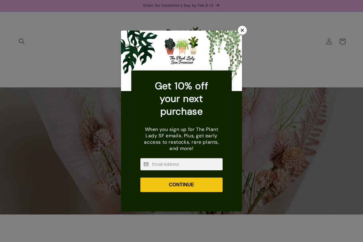 The Plant Lady SF homepage screenshot