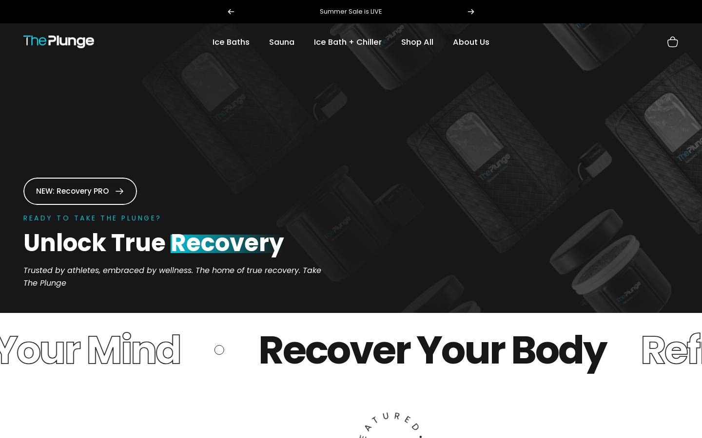 The Plunge homepage screenshot