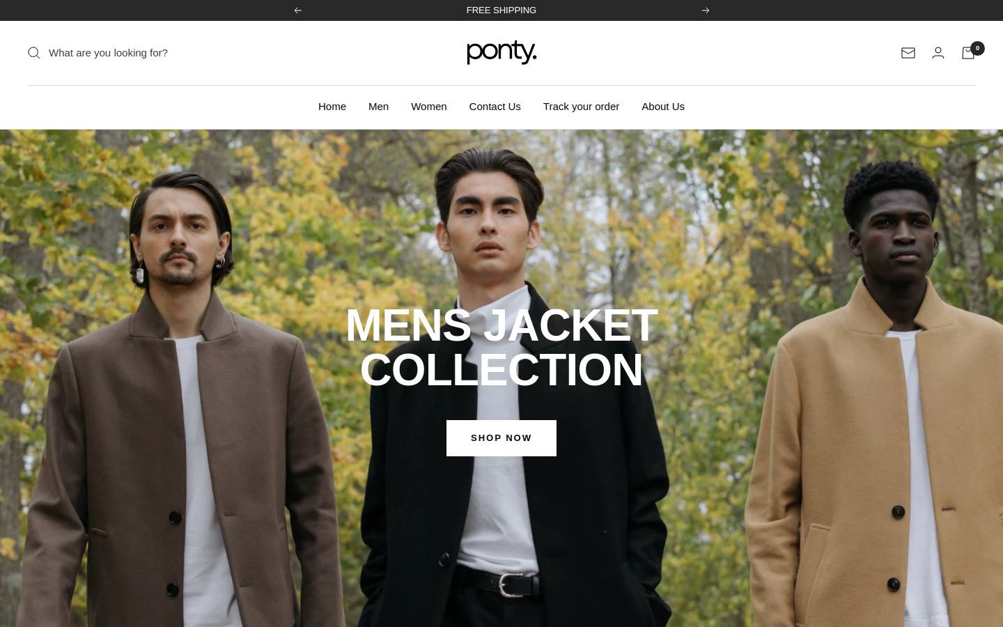 Theponty homepage screenshot