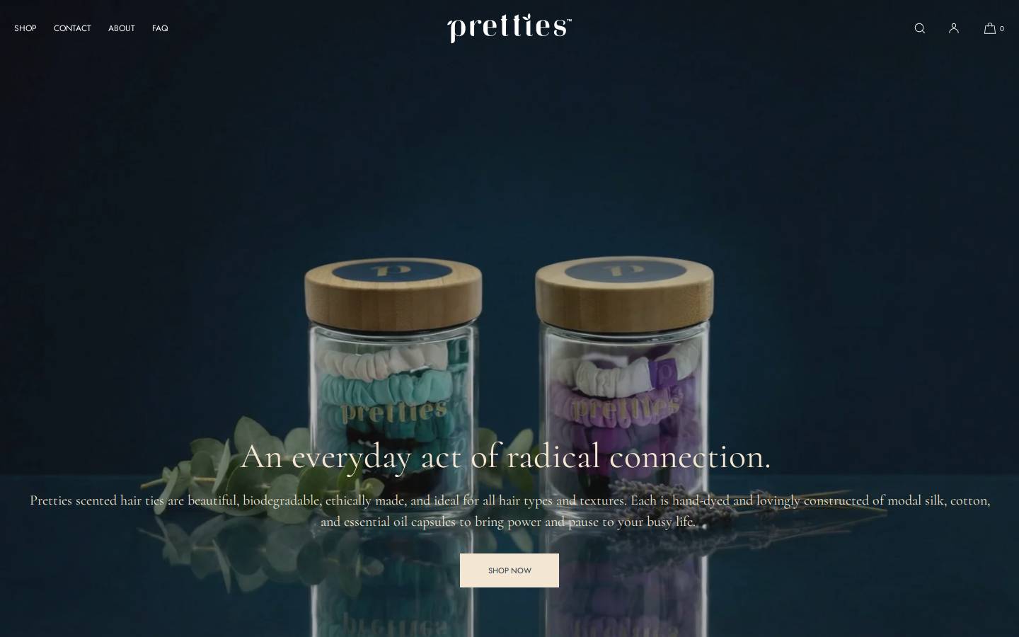 theprettypretties.com homepage screenshot