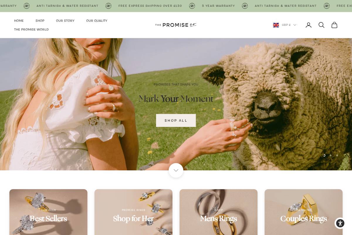thepromiseco.com homepage screenshot
