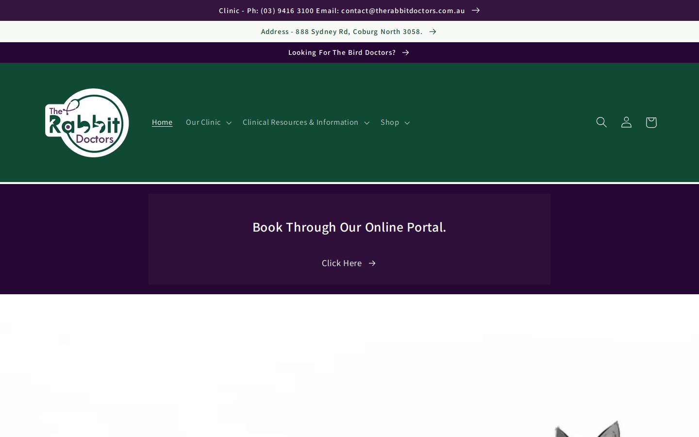 therabbitdoctors.com.au homepage screenshot