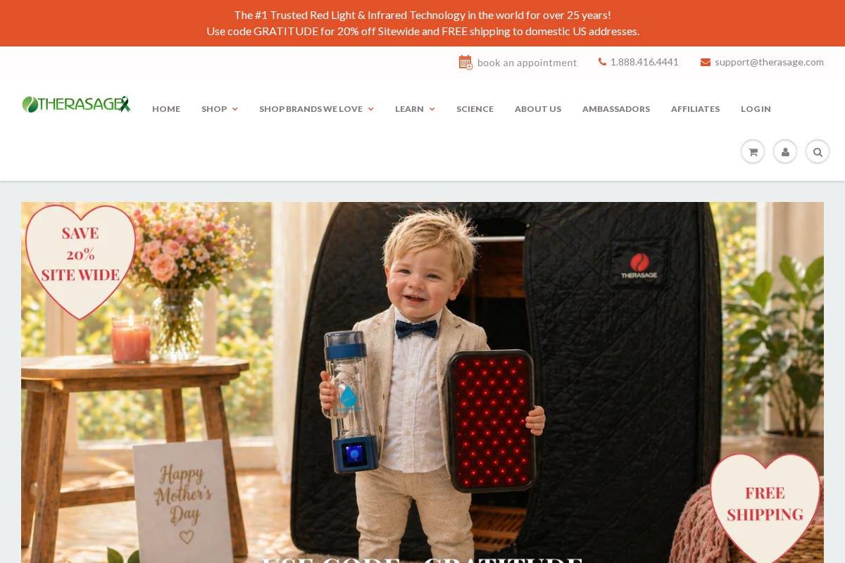 Therasage homepage screenshot