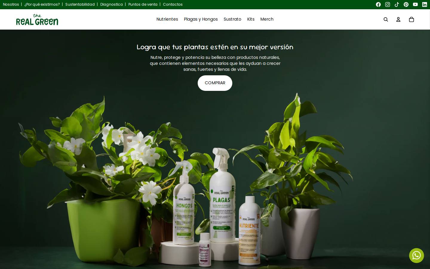 therealgreen.com.mx homepage screenshot