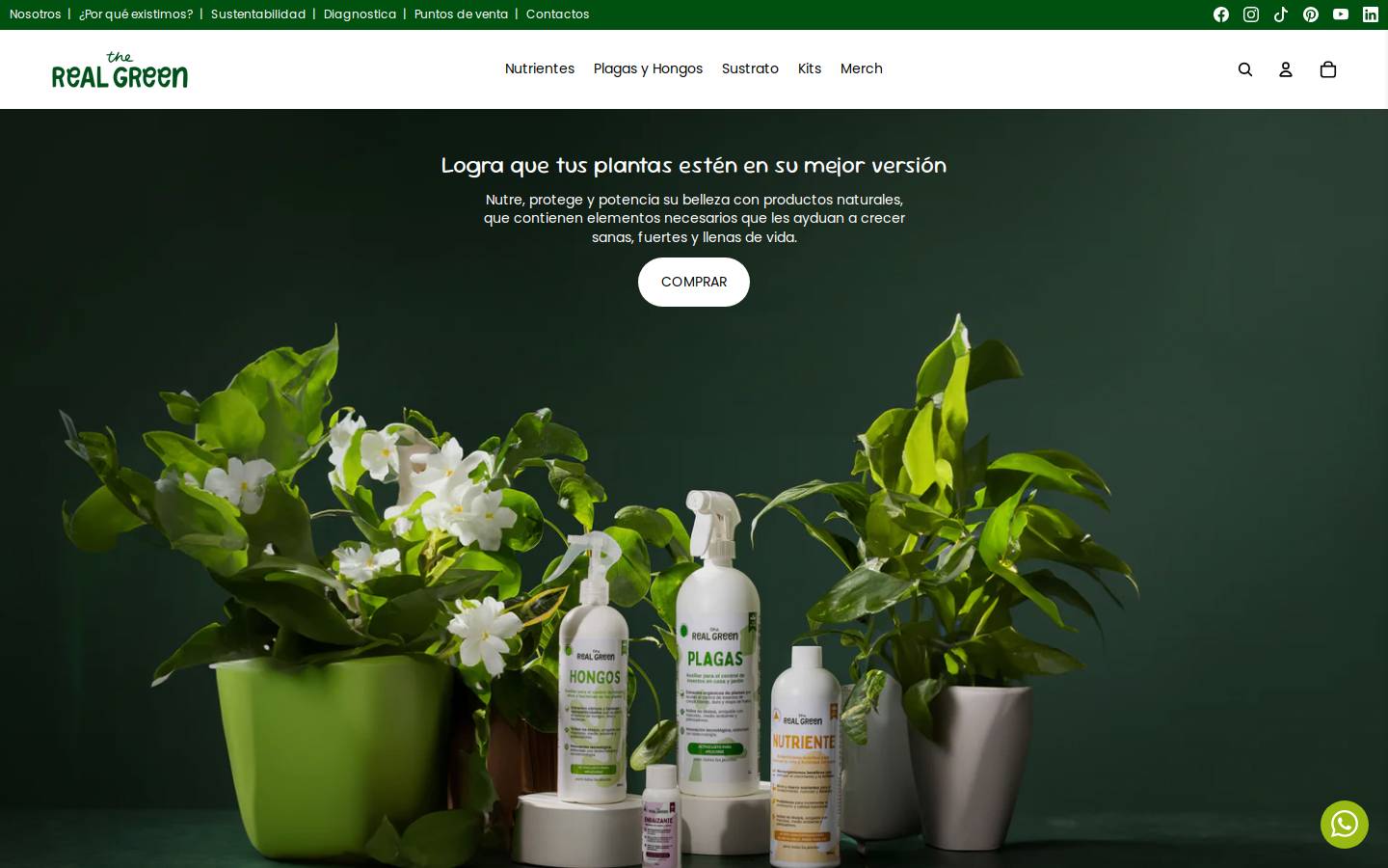 therealgreenn.com homepage screenshot