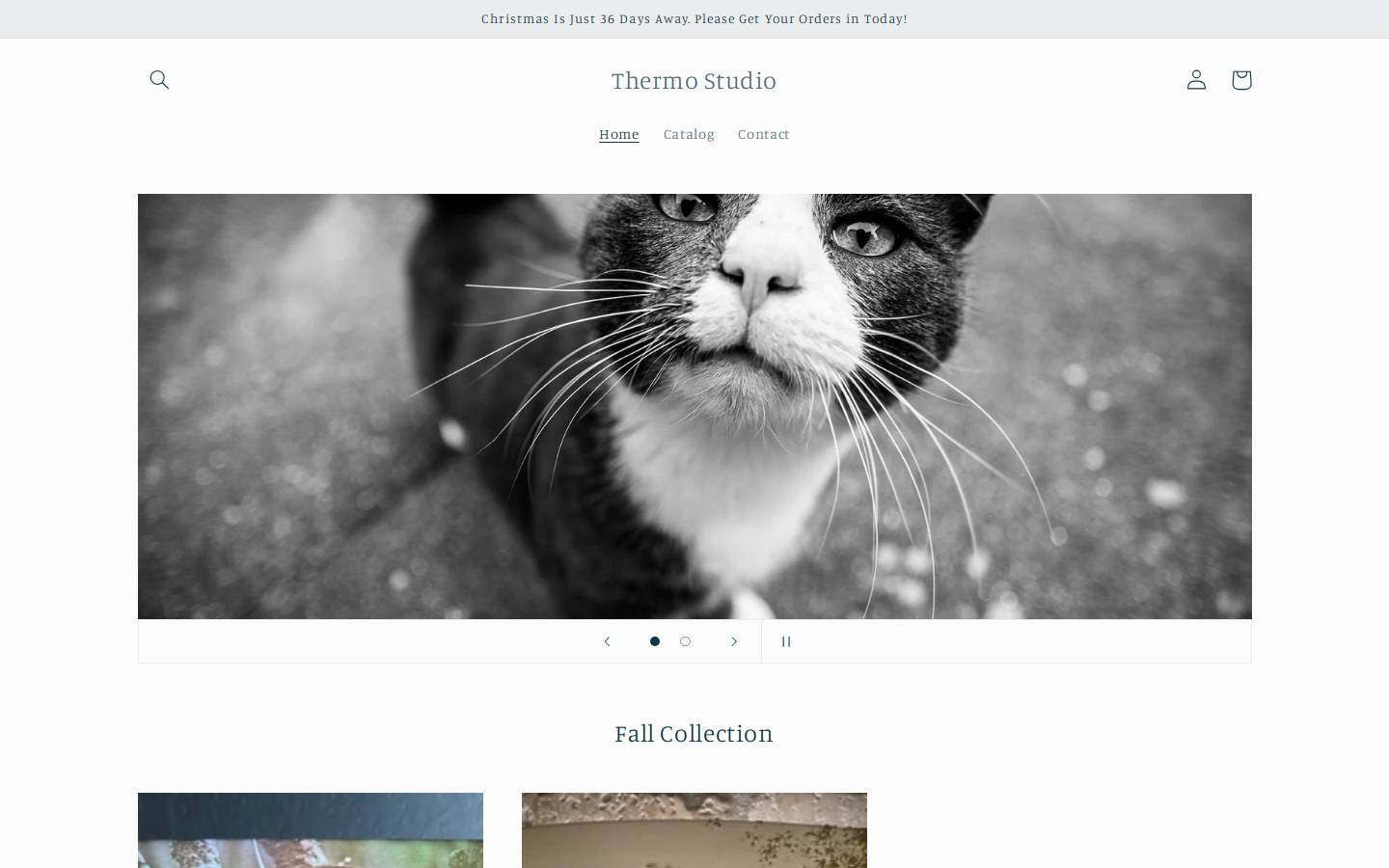 thermo.studio homepage screenshot