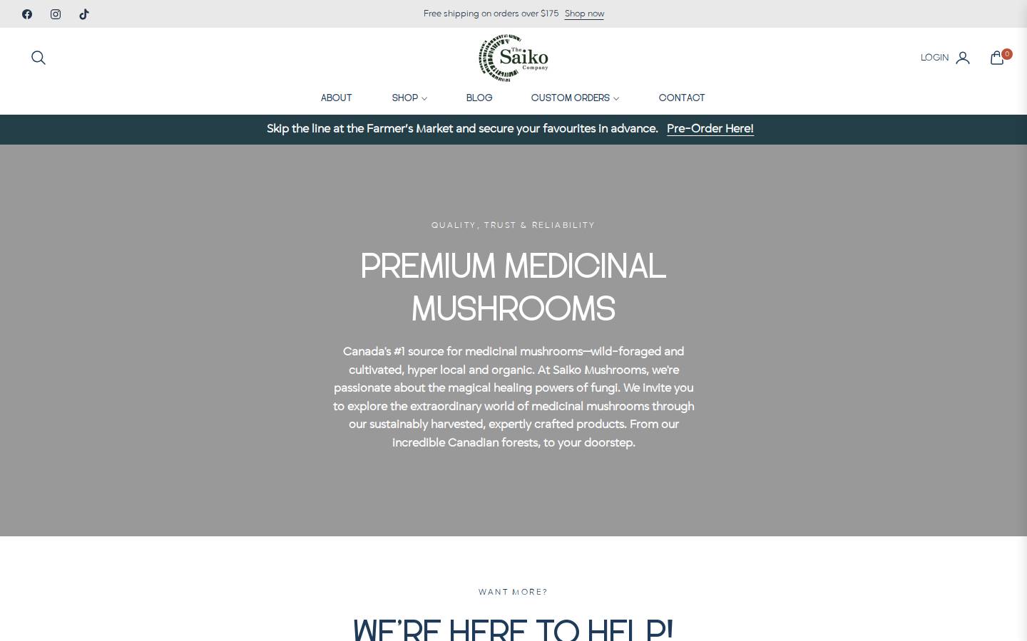 thesaikocompany.com homepage screenshot