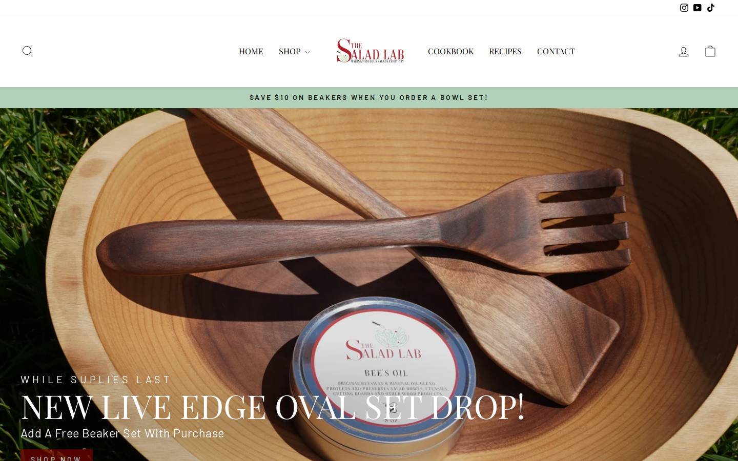 thesaladlab.net homepage screenshot