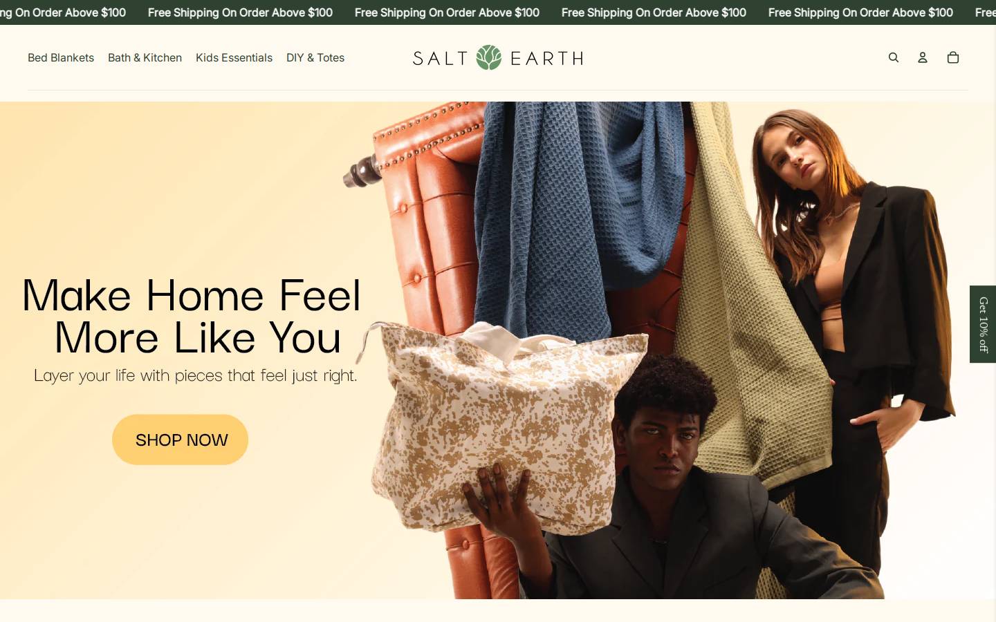 thesaltearth.com homepage screenshot