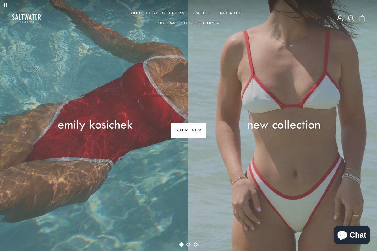 thesaltwatercollective.com homepage screenshot