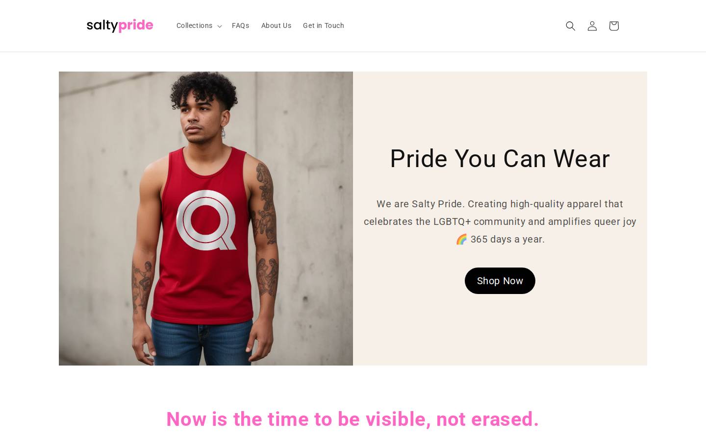 thesalty.shop homepage screenshot