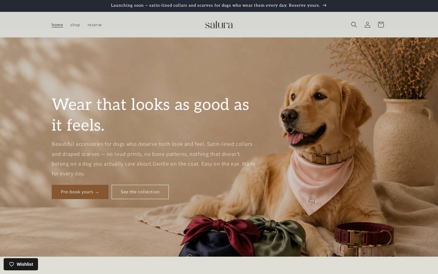 thesalura.com homepage screenshot