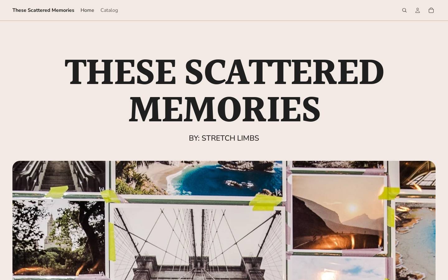 thesescatteredmemories.com homepage screenshot