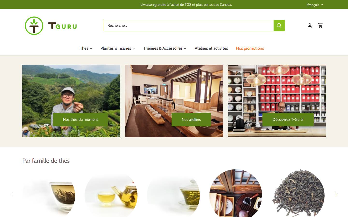 thesguru.ca homepage screenshot