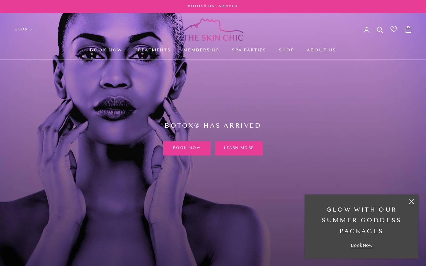 theskinchic.com homepage screenshot