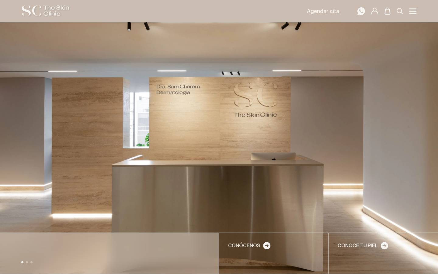 theskinclinic.mx homepage screenshot