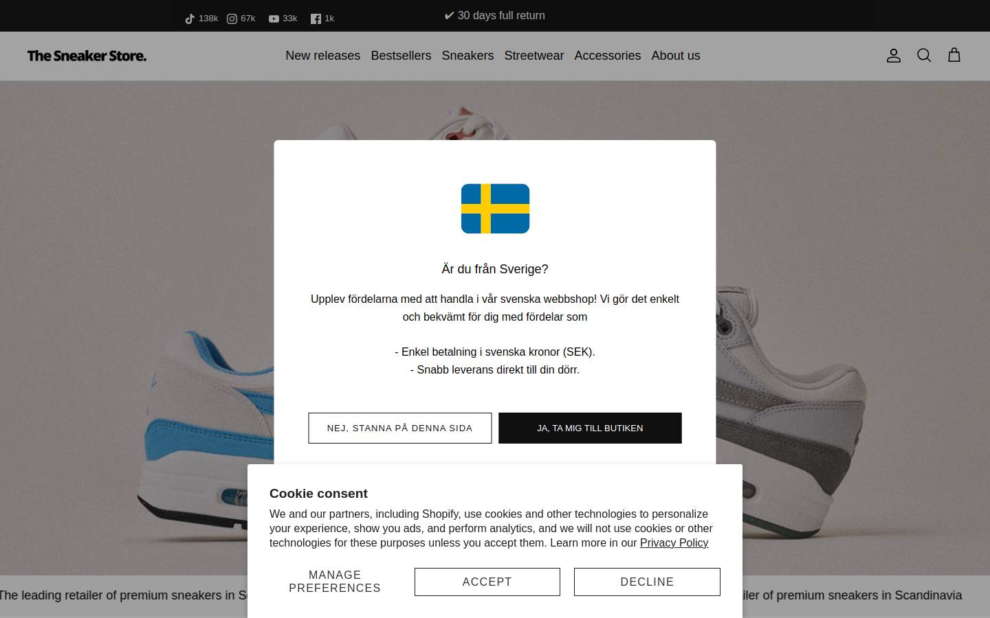 thesneakerstore.com homepage screenshot