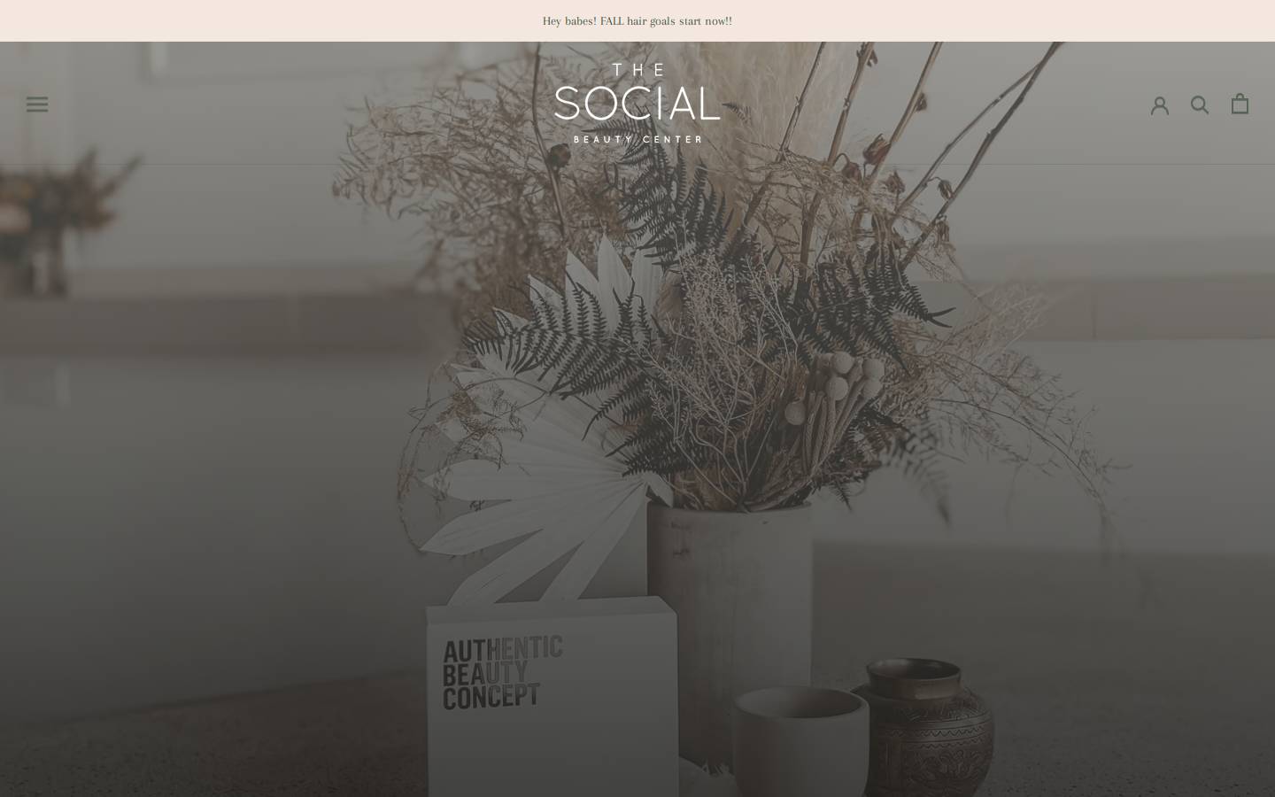 thesocialbeautycenter.com homepage screenshot