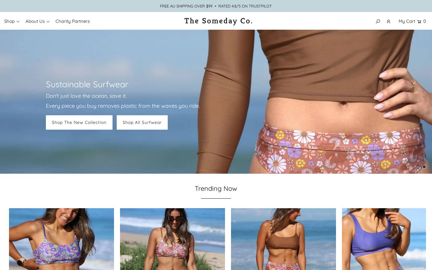 thesomedayco.com homepage screenshot