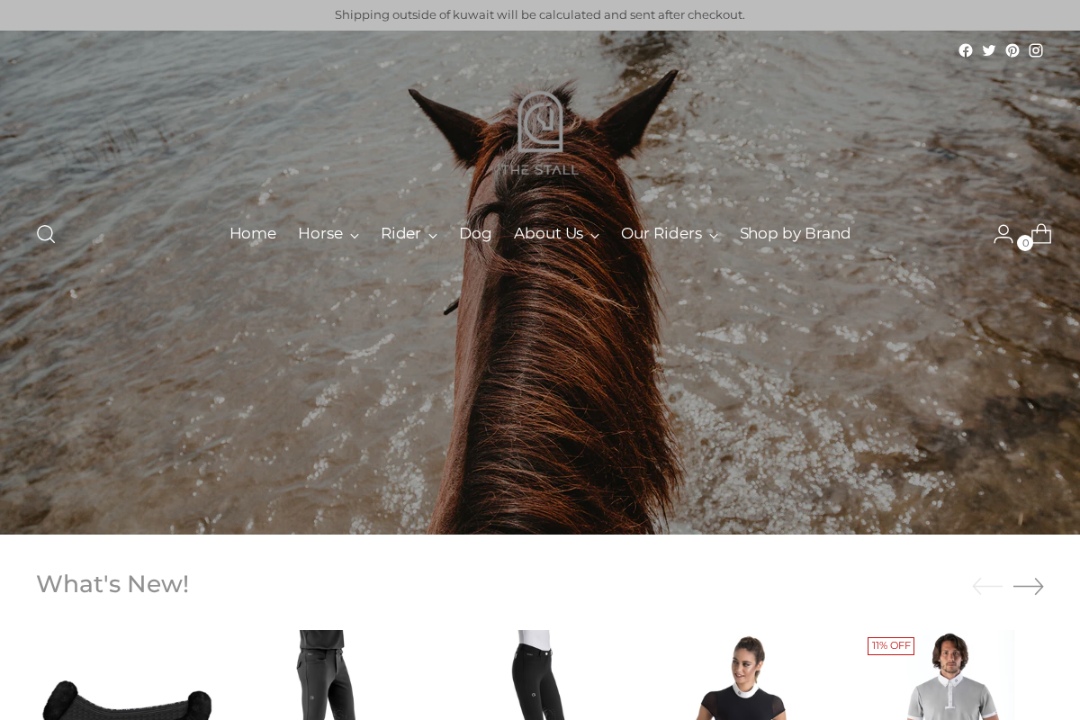 THE STALL homepage screenshot