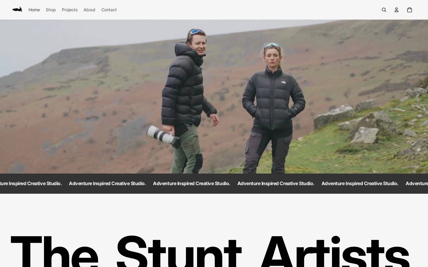 thestuntartists.com homepage screenshot